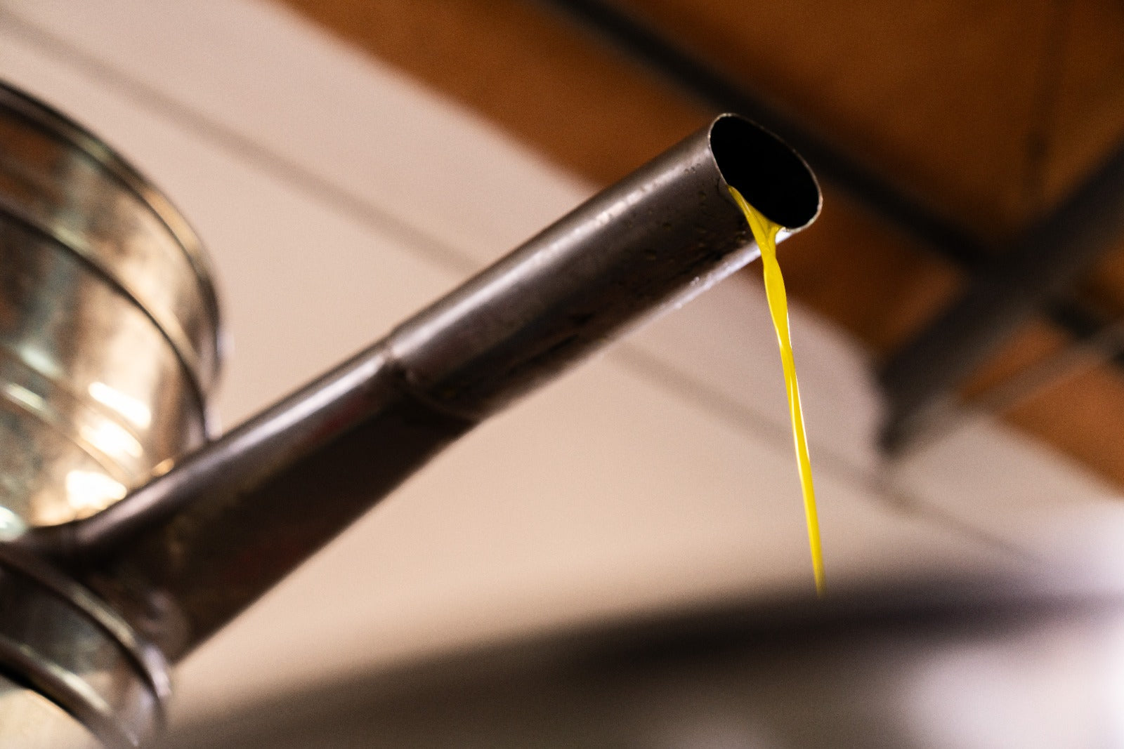 Olio nuovo 2024: poche bottiglie per veri intenditori