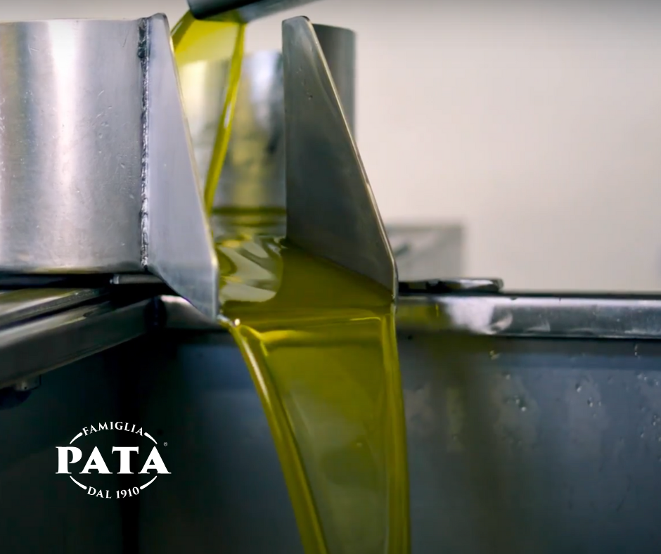 Campagna olearia 2025: come scegliere un olio extra vergine di oliva di qualità