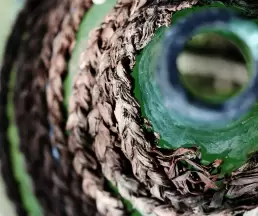 come conservare l'olio